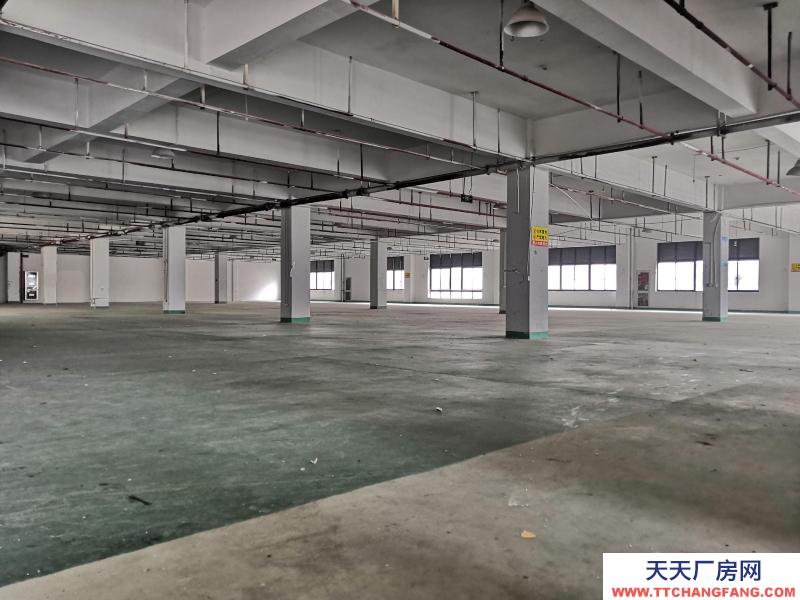 出租童裝行業廠房 湖州織里500平、1000平、1600平、3000平