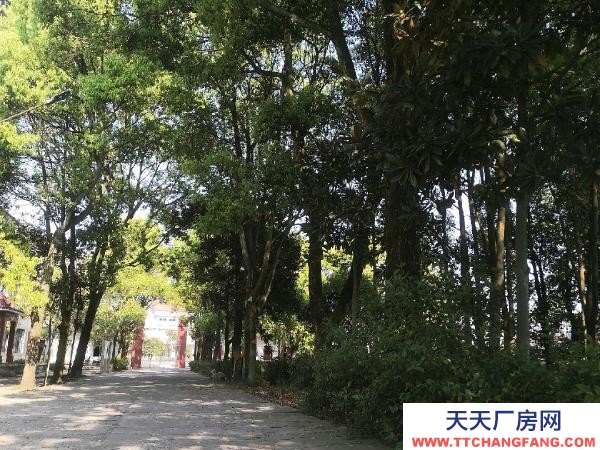 常德市臨澧區 位于臨澧縣新安鎮火車站可做倉庫廠房