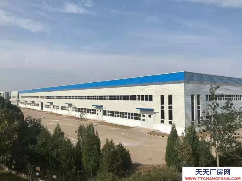 (出售) 天津津南標準單層廠房 挑高10米 近高速快速路 有大環評