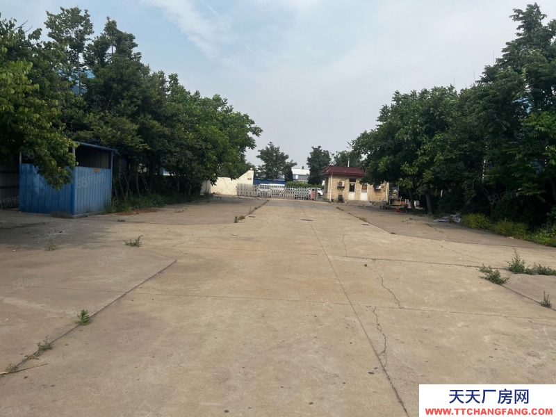 (出售) 天津津南開發區聚英路,工業用地60萬一畝,聚英路占地25畝不議價