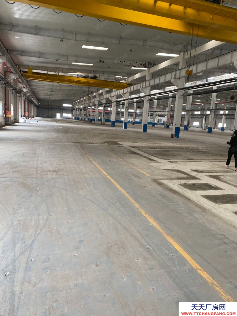 (出售) 天津武清開發(fā)商單層廠房出租，可分租上天車（丙二）有環(huán)評(píng) 高速口..