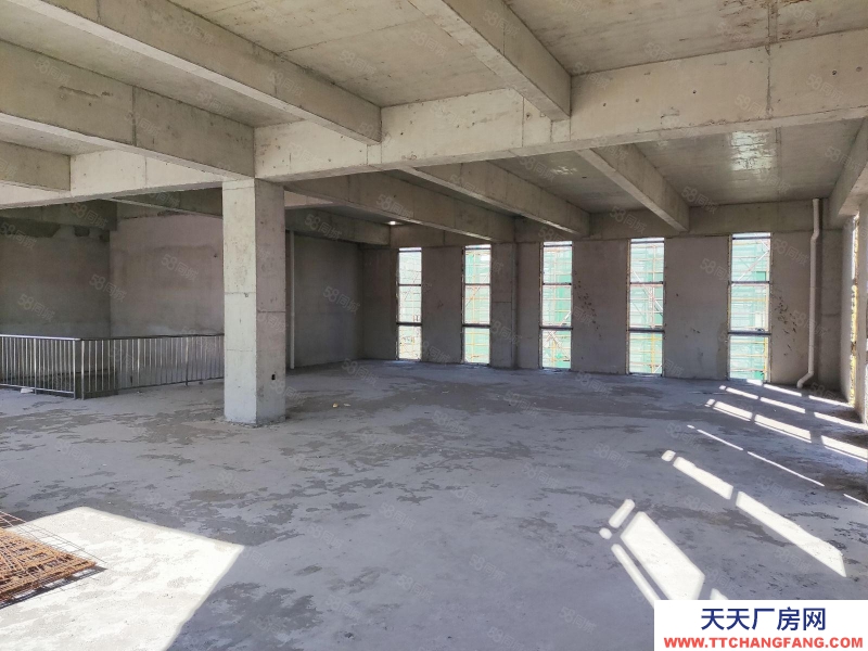 (出售) 天津東麗經開區廠房2層半獨棟廠房