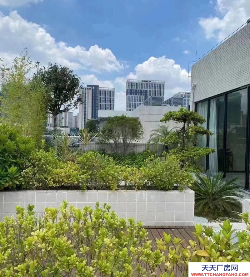 (出售) 天津東麗準現房！自持廠房出售、產研辦一體地鐵上蓋、7.5米層高送車位