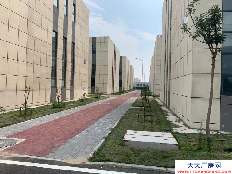 (出售) 天津東麗現房出售 五證齊全 可貸款 行業寬松