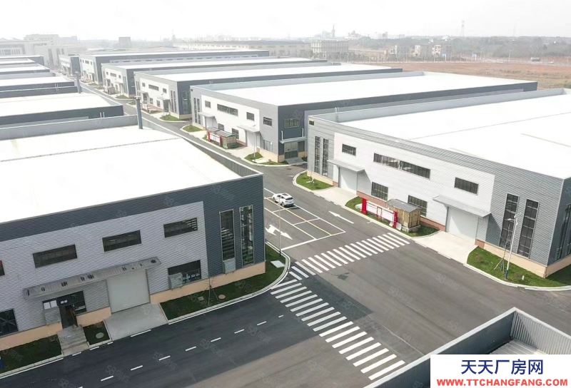 (出租) 宣城宣州全新單層鋼結(jié)構(gòu)廠房 稅收低 檐高12米 10噸牛腿可租可售