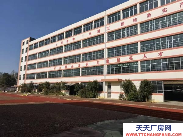 衡陽市雁峰區低價出售或出租，超高性價比