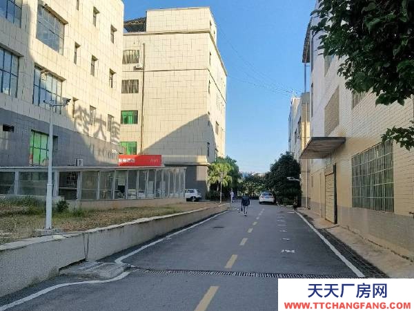 衡陽市雁峰區 本房屬于公司多余產權房，可用倉庫可小型加工