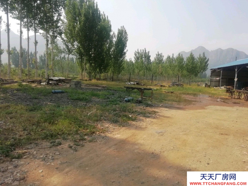 唐山 遵化 原木線加工廠房400㎡，總占地4畝