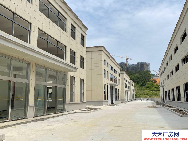 (出租) 宣城寧國新建標準廠房