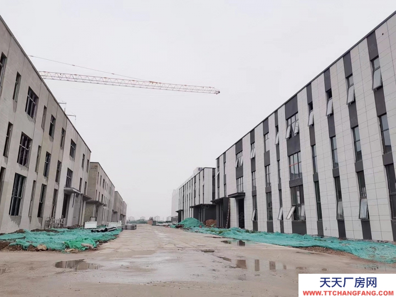 濰坊奎文市區近 高科產業園 800平 兩層獨棟廠房 特價房 價可議