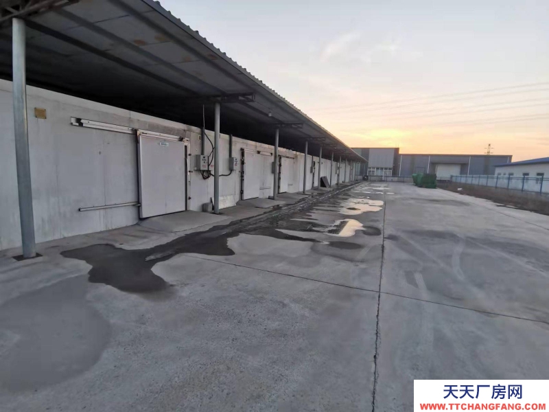 唐山 灤南 冷庫出租，約50平，多個出租