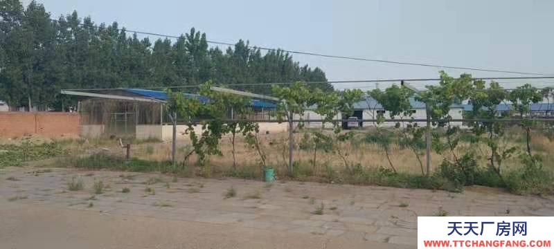 唐山 灤南 十畝大院對外出租水電俱全出入方便