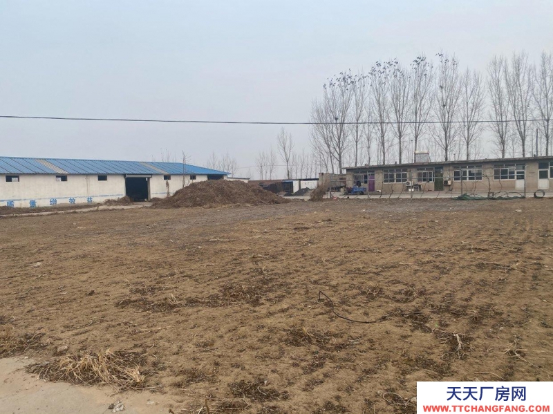 唐山 灤南  青坨營20畝大院，三相電，廠房宿舍俱全