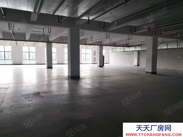 無錫江陰顧山北國獨門獨院21000平方，大小可分空地大。