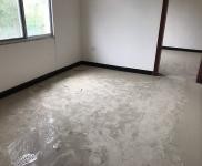 (出租) 黃岡蘄春李時珍醫(yī)藥港 倉庫 55-250平米 可代發(fā)貨價(jià)格面議