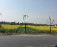 (出租) 黃岡黃梅出租小池105國道旁廠房租售同步