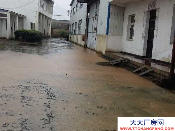 (出租) 黃岡黃梅出租辦公樓鋼結構廠房 以及各種各樣類似廠房