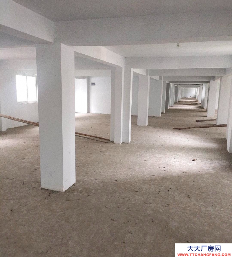 (出租) 池州貴池私人倉庫，中介勿擾，地理位置優越