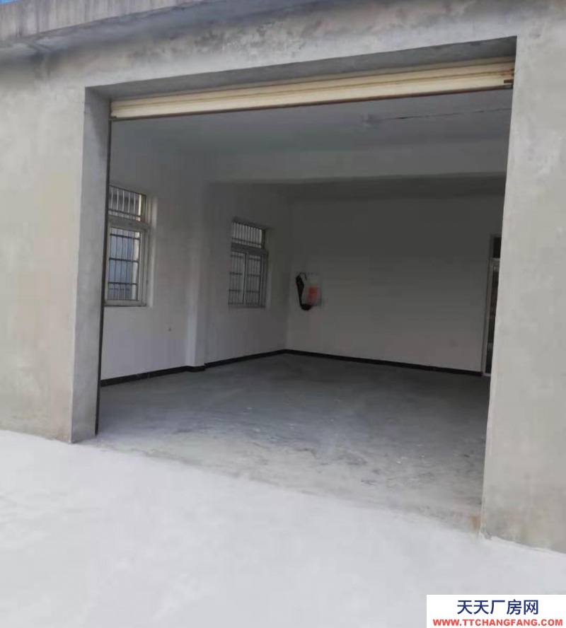 (出租) 池州東至縣城區大渡口樞紐庫房