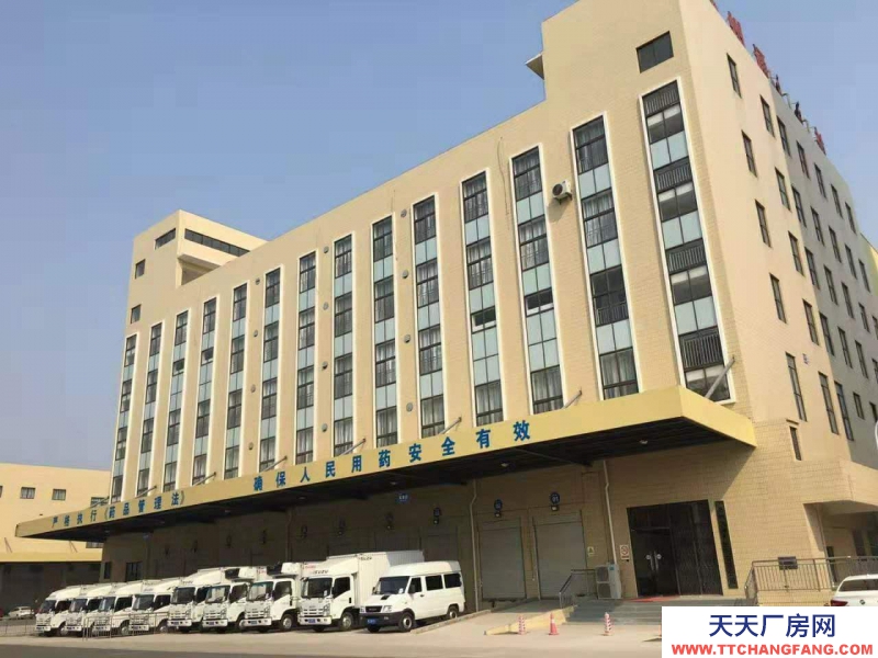 (出租) 亳州譙城區(qū)大型標(biāo)準(zhǔn)化倉庫，藥品代儲(chǔ)代運(yùn)，15000平米