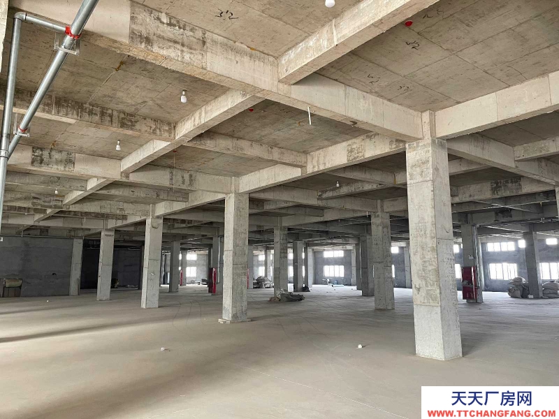 (出租) 亳州譙城辦公樓、倉庫車間（高鐵站附近，地理位置好，可整租可分租）