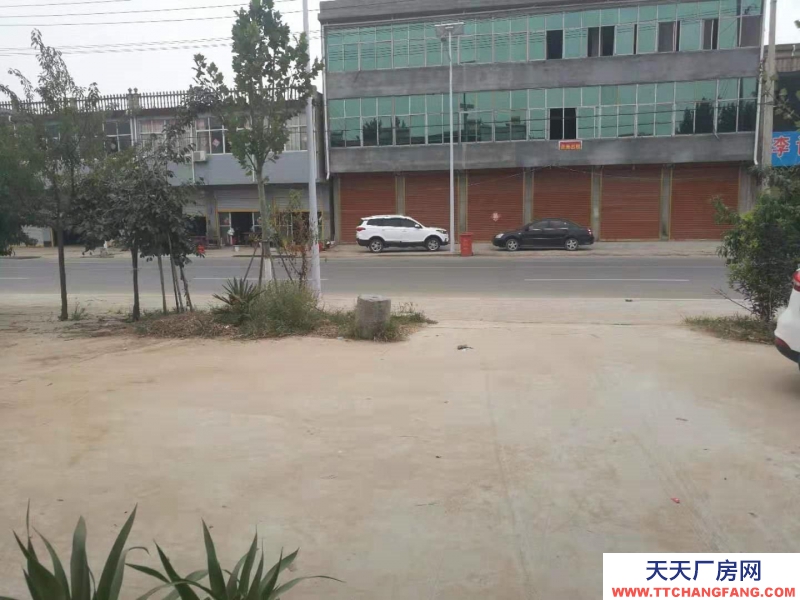 (出租) 亳州譙城區(qū)華佗鎮(zhèn)程屯村，近亳州北高速公路，