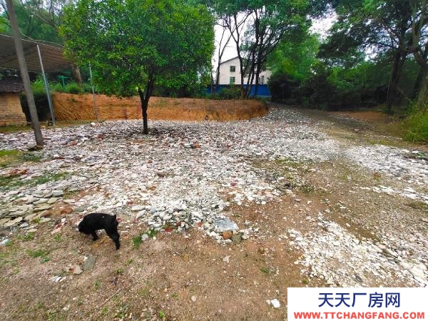 衡陽市蒸湘區 2000平方（+場地）價格面談