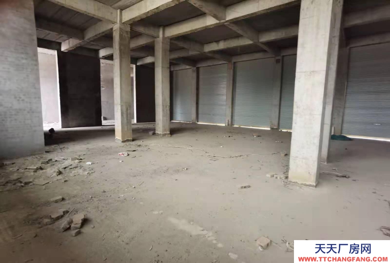 (出租) 亳州利辛城區(qū)金匯裝飾城附近