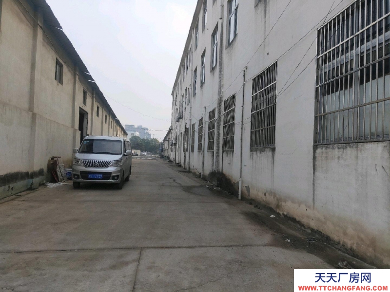 (出租) 亳州蒙城地理位置優越，環境好，出路方便