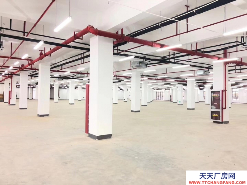 (出租) 六安裕安區(qū)青網(wǎng)產(chǎn)業(yè)園廠房倉庫辦公室120-2000平