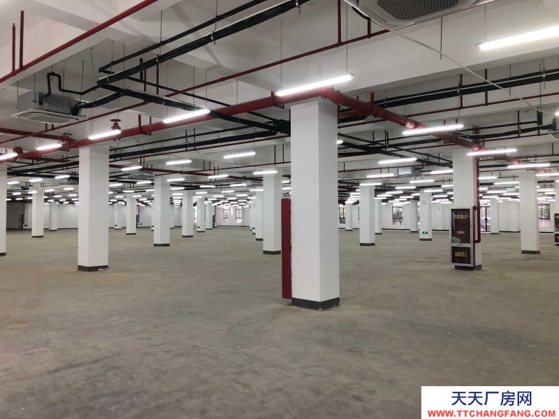 (出租) 六安裕安區(qū)青網(wǎng)廠房倉庫40平到3800平房租減免交通方便消防已過