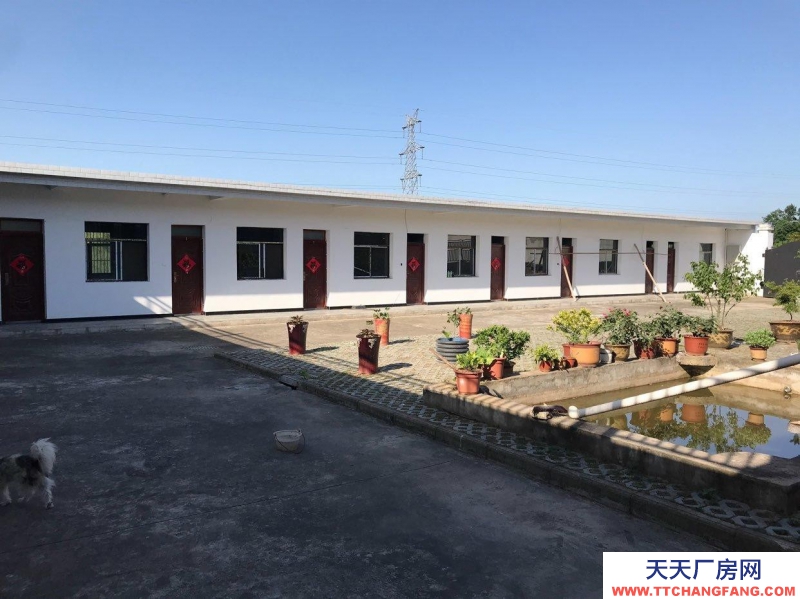 (出租) 六安裕安區(qū)出售或出租農(nóng)家樂垂釣中心1000平方房子,六口魚塘。