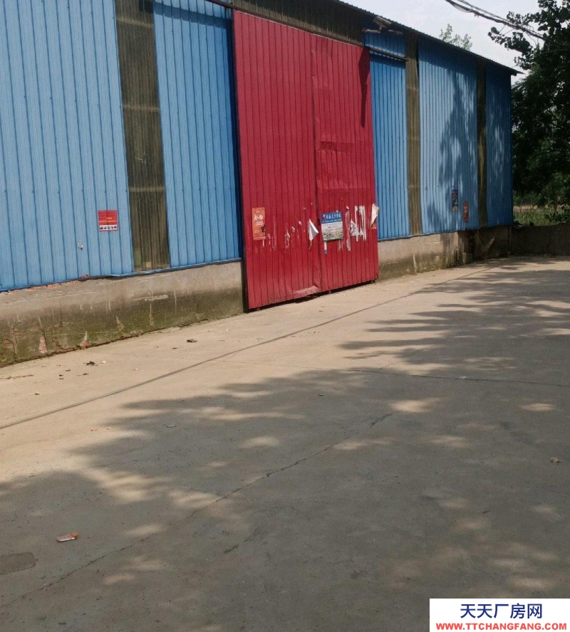 (出租) 六安霍邱在公路旁邊，交通便利