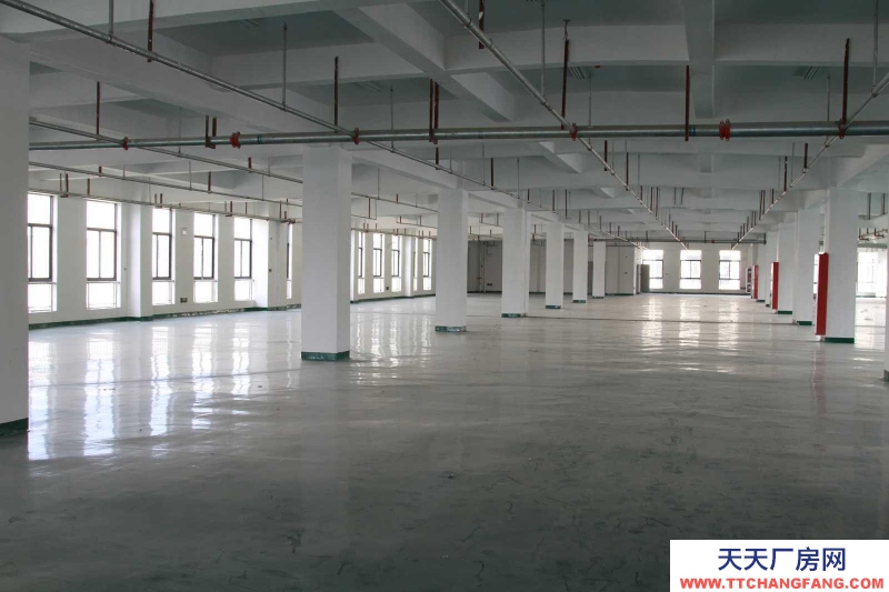 (出租)宿州埇橋 一樓、一樓1250方場地對外出租