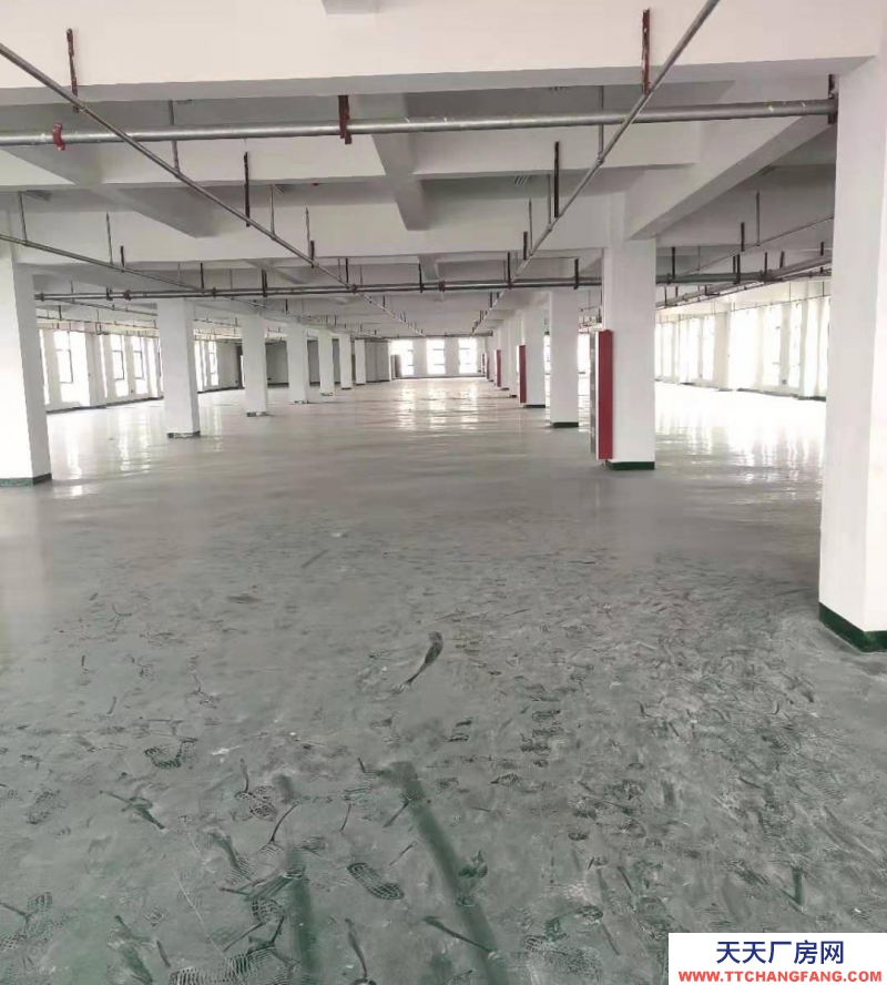 (出租)宿州埇橋 一樓、一樓1250方場地對外出租