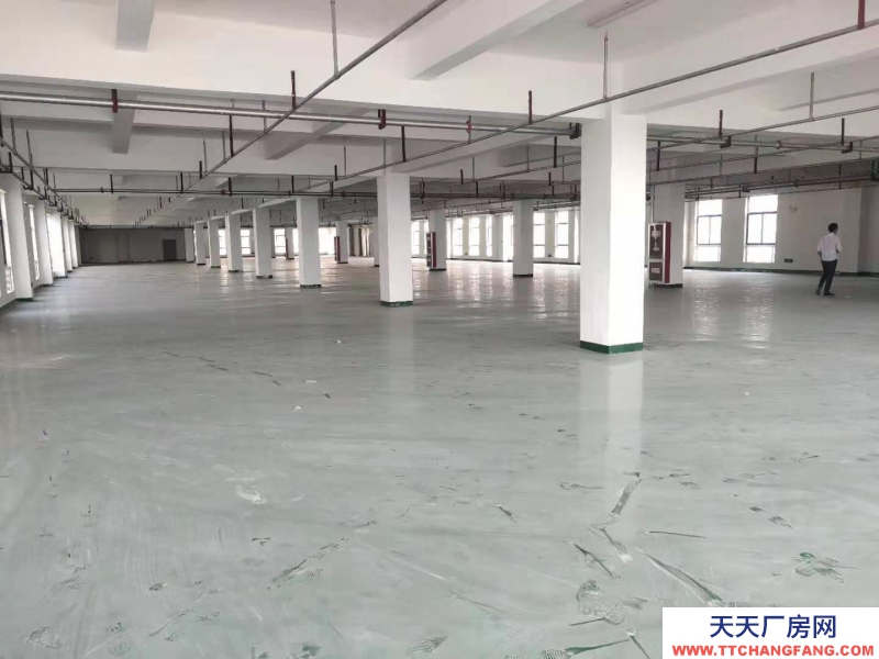 (出租)宿州埇橋 一樓、一樓1250方場地對外出租