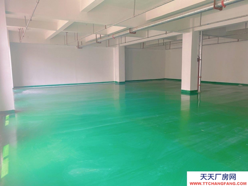 (出租) 宿州埇橋急租1250平廠房倉庫,全新可分割可整租