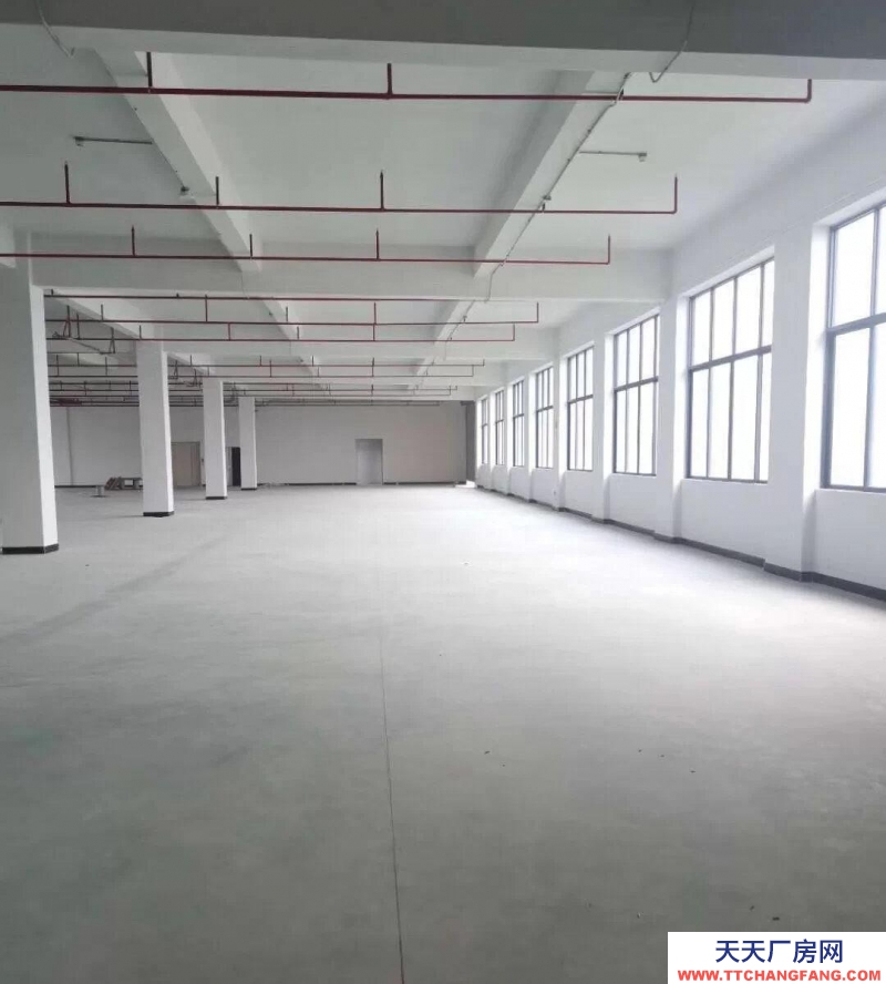 (出租)馬鞍山花山 秀山信達城倉庫面積1000平,可分割,大貨車上下貨方便