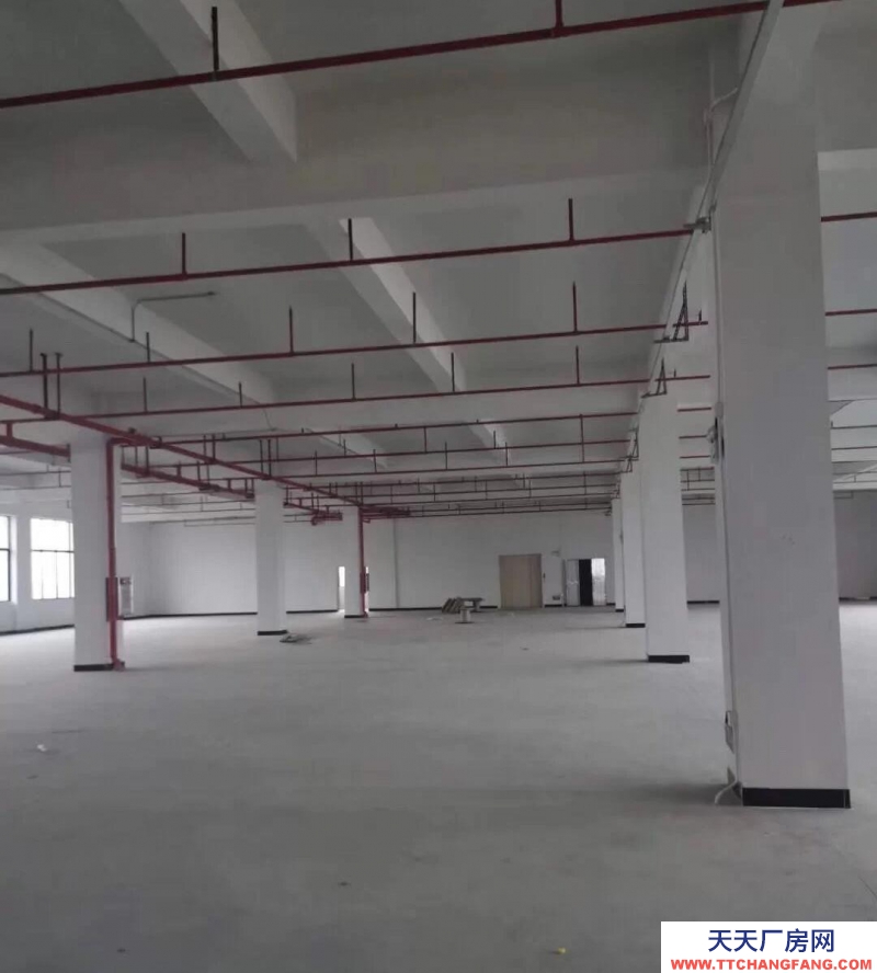 (出租)馬鞍山花山 秀山信達城倉庫面積1000平，可分割，大貨車上下貨方便