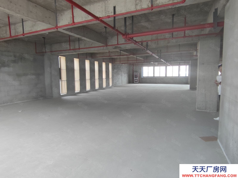 (出租) 馬鞍山花山中國智谷 一戶425平 整層900平 電商倉儲 可辦公