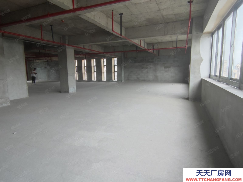 (出租) 馬鞍山花山中國智谷 一戶425平 整層900平 電商倉儲 可辦公