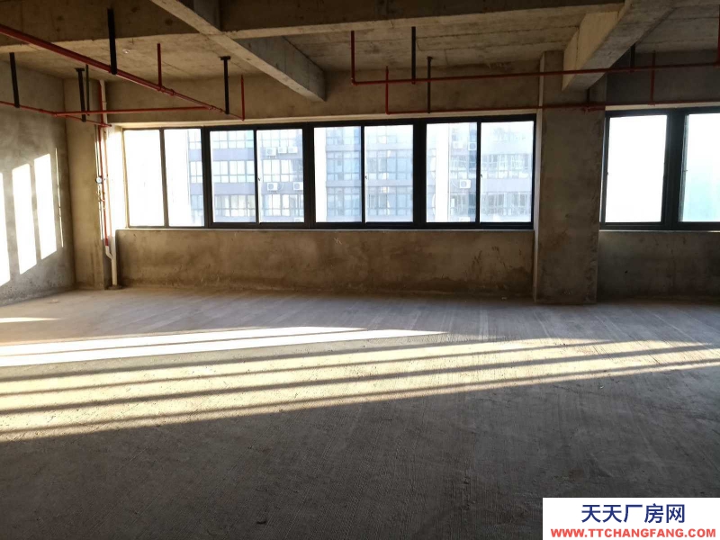 (出租)馬鞍山花山 非中介，秀山軟件園，425平辦公+倉儲，一體化辦公