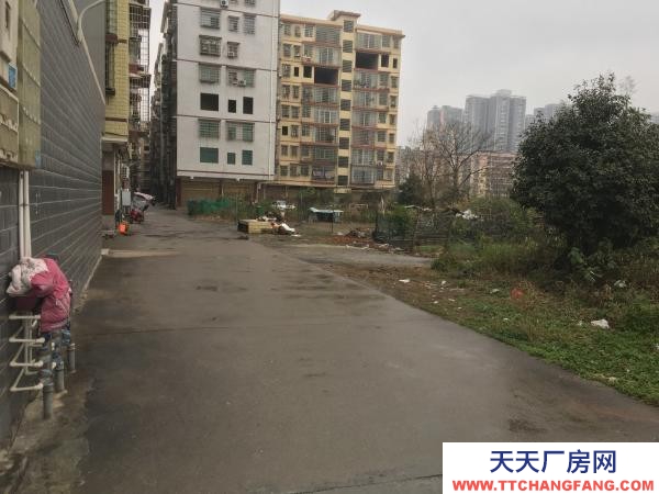 衡陽市耒陽區聶洲27組大樟隍嶺11棟靠耒陽河邊600平方倉庫道路暢通