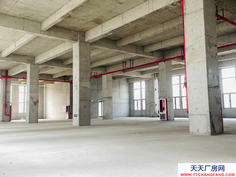 廊坊 廣陽 雙層企業獨棟適合生產研發辦公 獨立電梯 有房本50年