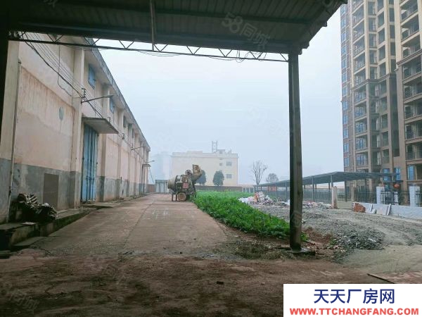 衡陽市衡陽縣 西渡中型廠房，可租可售，價格美麗，方便實用，位置好，配套齊全