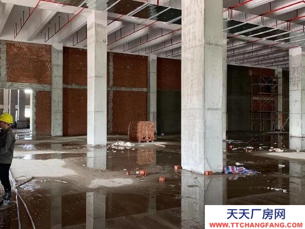 衡陽市衡陽縣 湖南專業高臺倉庫，高標冷庫，可以定制