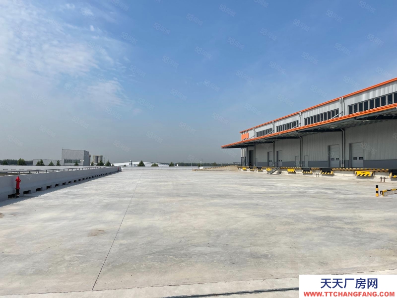 廊坊 安次 新建高標庫 80000平招租中