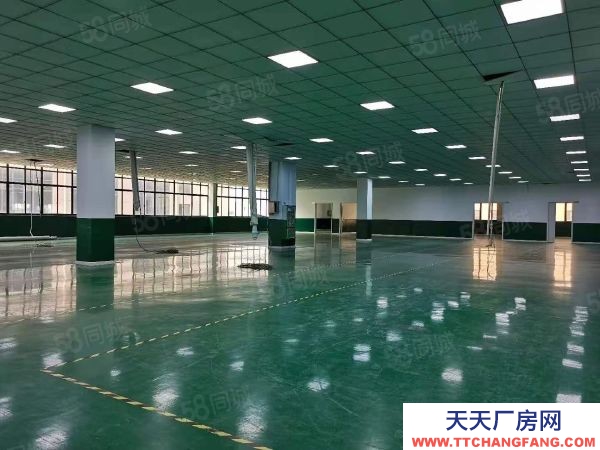 無錫濱湖新區梅村核心地段2200方小獨棟廠房出售