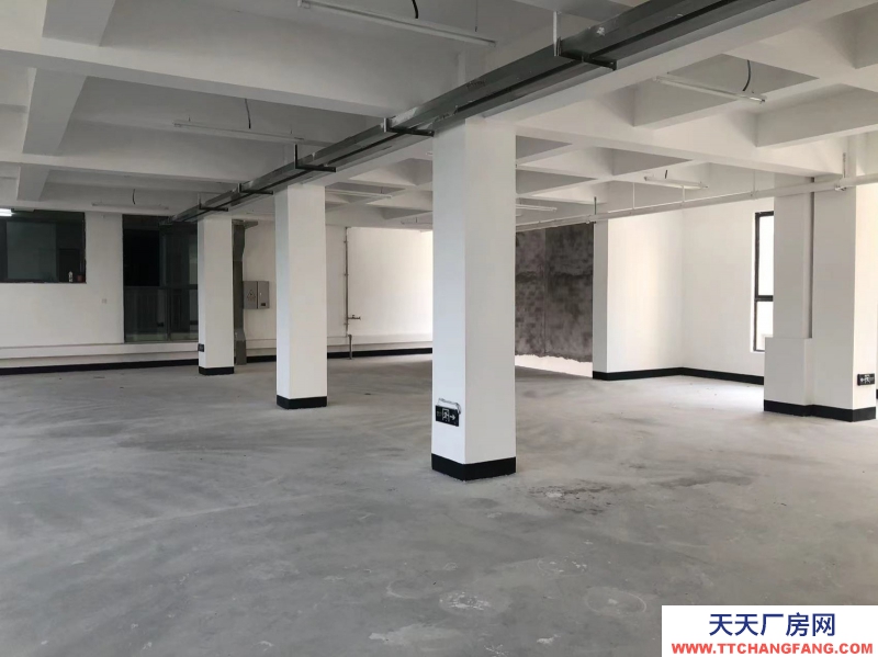 西彭物流園對面廠房/倉庫出租