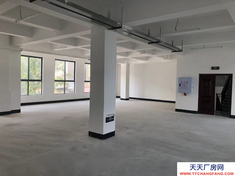 西彭物流園對面廠房/倉庫出租